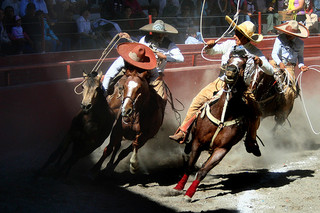 Mexican charreria | charreada